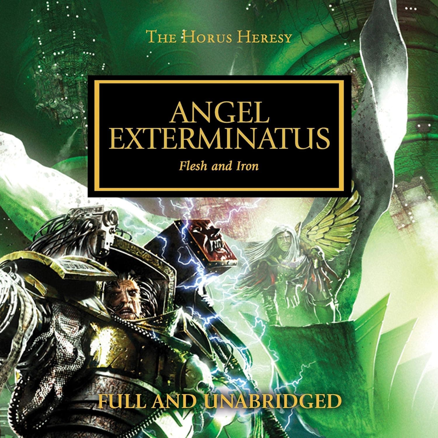 Cover of the audiobook edition of 'Angel Exterminatus': Flesh and iron